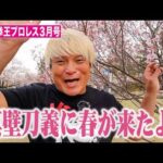 祝❗真壁結婚【月刊拳王プロレス3月号】はなわ長男入門・FACE閉館・名誉毀損・カラムＶ・お前平田だろ！これを見ればプロレス界が分かる！