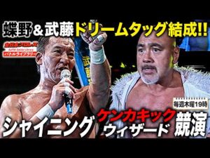 武藤敬司＆蝶野正洋電撃タッグ結成‼闘魂三銃士の握手＆Wシャイニング攻撃に会場熱狂！《2010/11/5》全日本プロレス バトルライブラリー#260