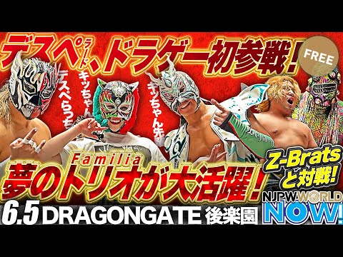 エル・デスペラードがドラゴン・キッドとタッグを組みDRAGONGATEに初参戦！【NJPWWORLD NOW!】