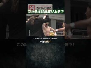 新日本プロレス『CMLL FANTASTICA MANIA 2026』(2.24) ファラオは世渡り上手？ #shorts