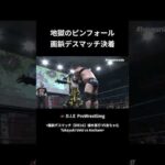 【画鋲デスマッチ】杏ちゃむvs植木嵩行 #プロレス #prowrestling #デスマッチ #deathmatch