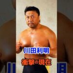川田利明 衝撃の現在#衝撃の現在#川田利明#プロレス#芸能人#雑学#平成#昭和#short