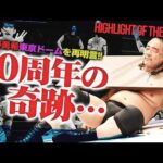 【超豪華】KONOSUKE TAKESHITA vs 橋本千紘！青木真也がRIZINより帰還！上野勇希が10周年記念興行で“東京ドームの野望”を改めて明言＜Highlight of the week＞