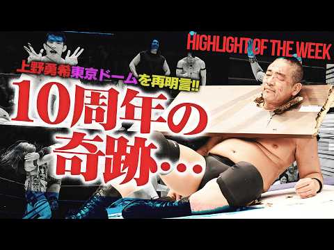 【超豪華】KONOSUKE TAKESHITA vs 橋本千紘！青木真也がRIZINより帰還！上野勇希が10周年記念興行で“東京ドームの野望”を改めて明言＜Highlight of the week＞
