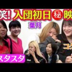 【💗スタスタ💗】葉月＆コグマのとんでもプロレス！【🌟エルフ×スターダム🌟】