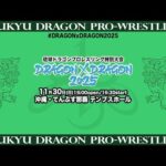 琉球ドラゴンプロレスリング特別大会《DRAGON×DRAGON 2025》
