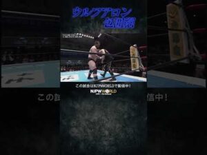 新日本プロレス『Road to THE NEW BEGINNING』(2.2) ウルフアロン包囲網 #shorts