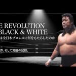 革命の残響 ・・長州力全日本プロレスにおけるイデオロギーの真実